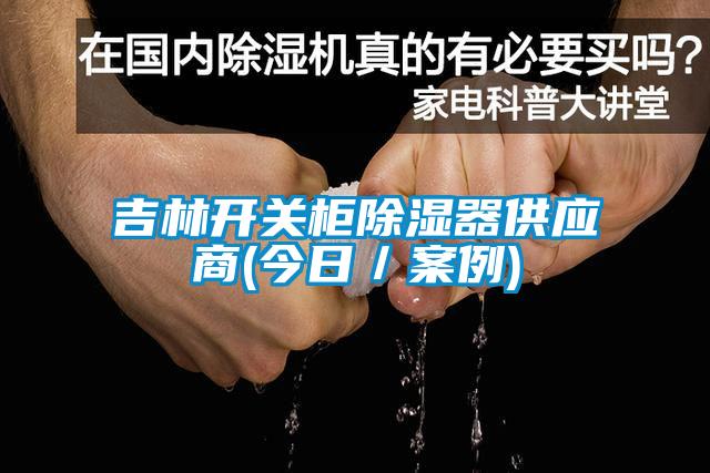 吉林開(kāi)關(guān)柜除濕器供應(yīng)商(今日／案例)