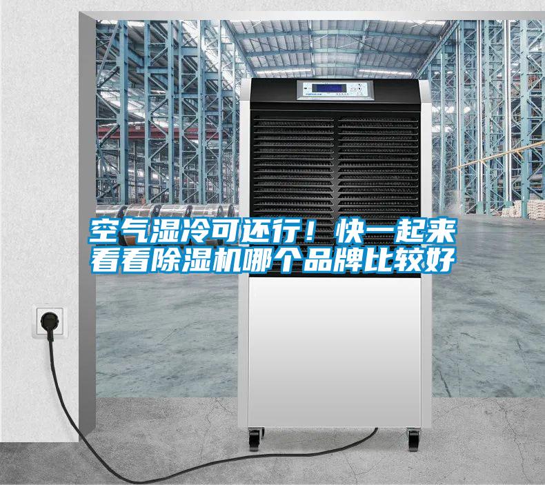 空氣濕冷可還行！快一起來看看除濕機哪個品牌比較好