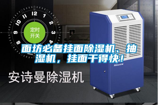 面坊必備掛面除濕機、抽濕機，掛面干得快！