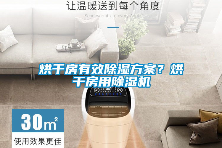 烘干房有效除濕方案？烘干房用除濕機