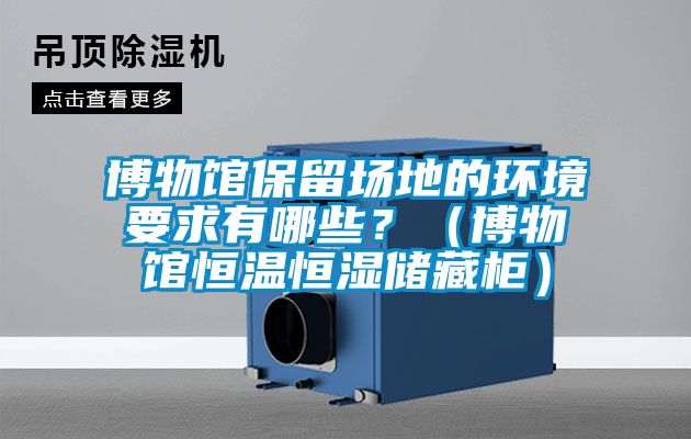 博物館保留場地的環境要求有哪些？（博物館恒溫恒濕儲藏柜）