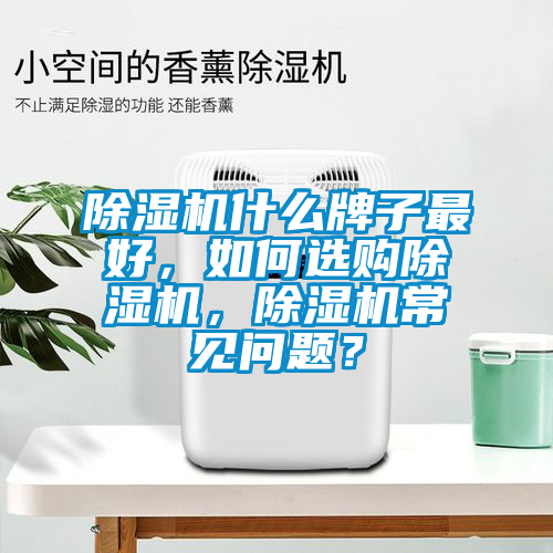除濕機(jī)什么牌子最好，如何選購除濕機(jī)，除濕機(jī)常見問題？