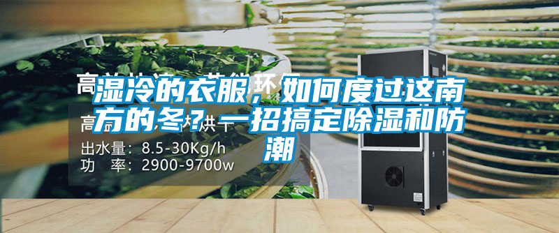 濕冷的衣服，如何度過這南方的冬？一招搞定除濕和防潮