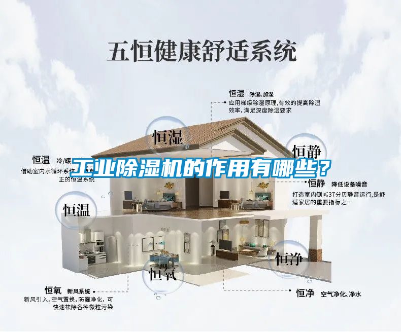 工業除濕機的作用有哪些？