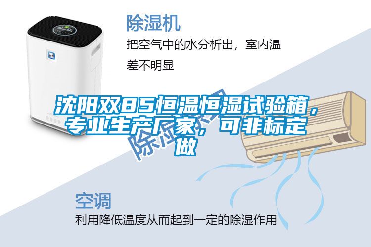沈陽雙85恒溫恒濕試驗(yàn)箱，專業(yè)生產(chǎn)廠家，可非標(biāo)定做