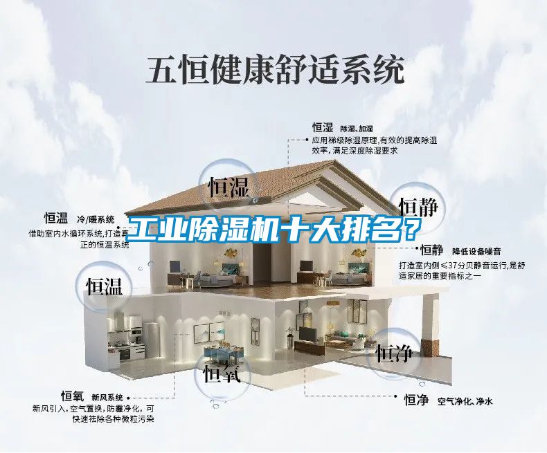 工業(yè)除濕機十大排名？