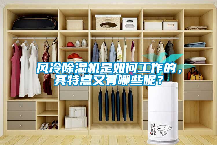 風冷除濕機是如何工作的，其特點又有哪些呢？