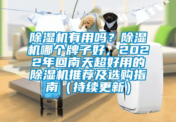除濕機(jī)有用嗎？除濕機(jī)哪個(gè)牌子好，2022年回南天超好用的除濕機(jī)推薦及選購指南（持續(xù)更新）