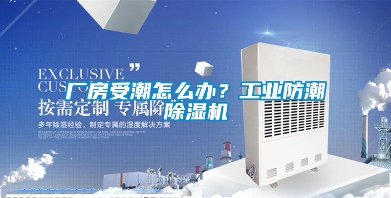 廠房受潮怎么辦？工業防潮除濕機