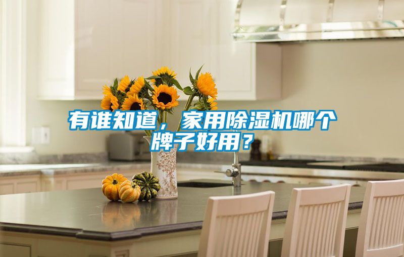 有誰知道，家用除濕機哪個牌子好用？