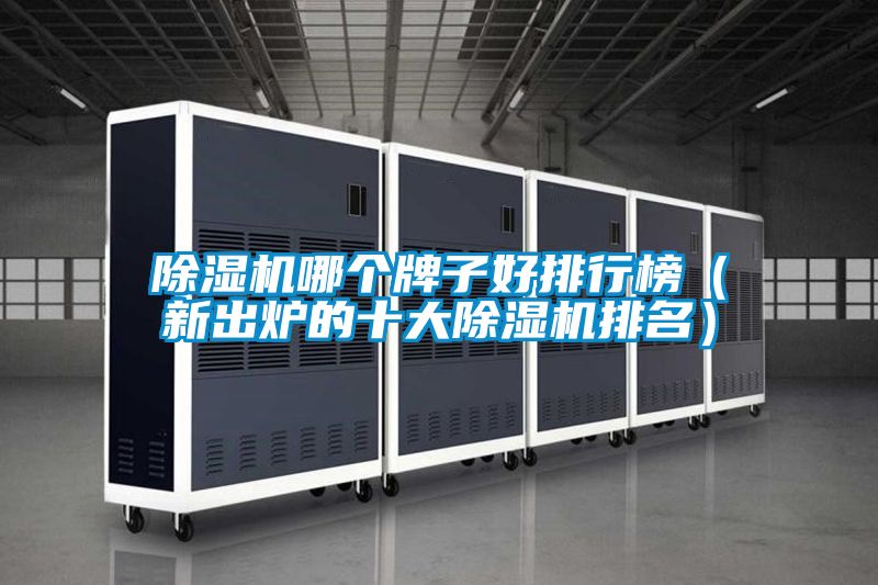 除濕機(jī)哪個牌子好排行榜（新出爐的十大除濕機(jī)排名）