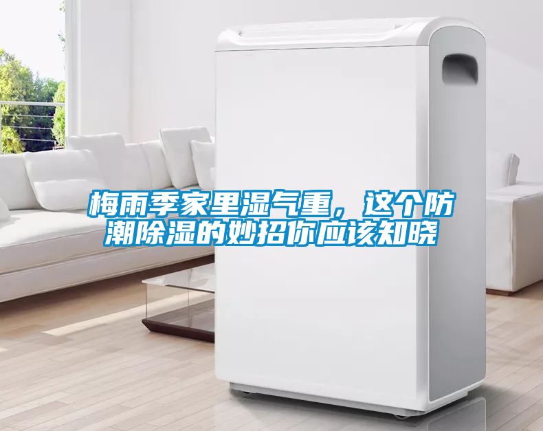 梅雨季家里濕氣重，這個防潮除濕的妙招你應該知曉