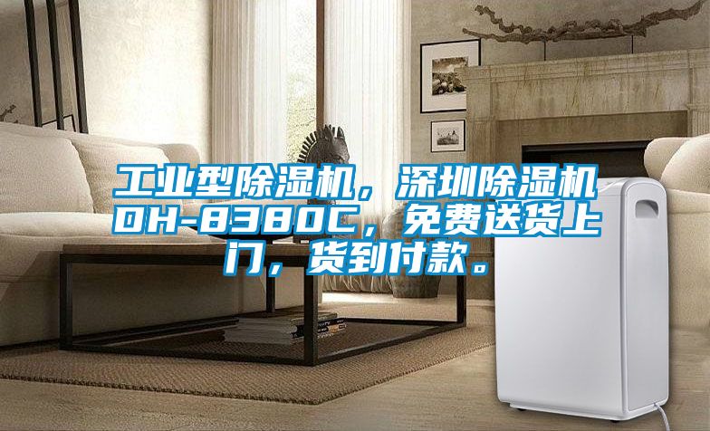 工業(yè)型除濕機(jī)，深圳除濕機(jī)DH-8380C，免費(fèi)送貨上門(mén)，貨到付款。