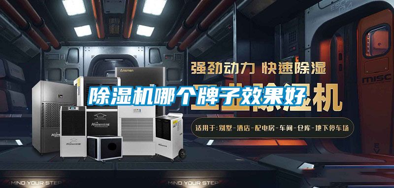 除濕機(jī)哪個牌子效果好