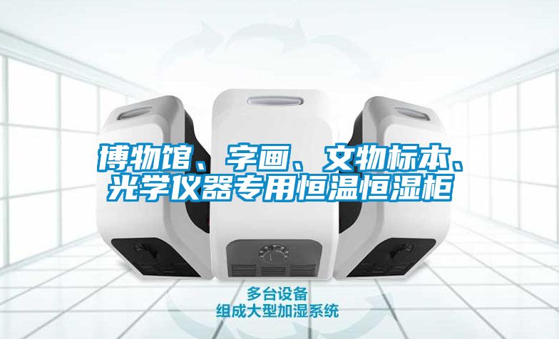 博物館、字畫、文物標(biāo)本、光學(xué)儀器專用恒溫恒濕柜