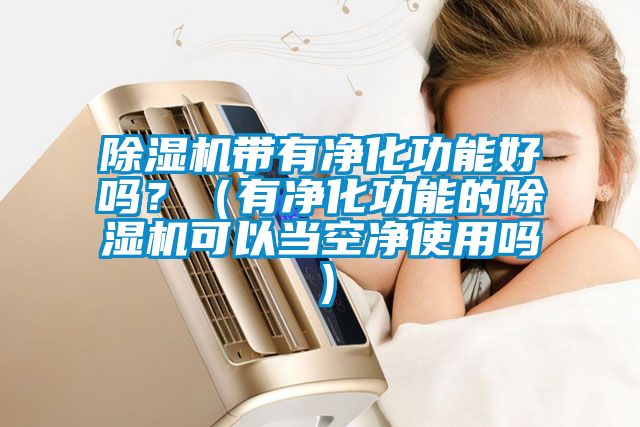 除濕機帶有凈化功能好嗎？（有凈化功能的除濕機可以當空凈使用嗎）