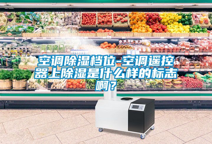 空調除濕檔位-空調遙控器上除濕是什么樣的標志??？