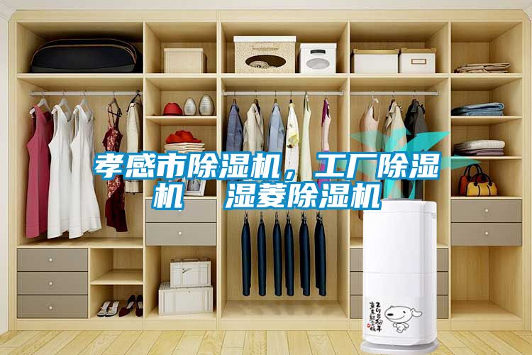 孝感市除濕機(jī)，工廠除濕機(jī)  濕菱除濕機(jī)