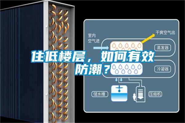 住低樓層，如何有效防潮？