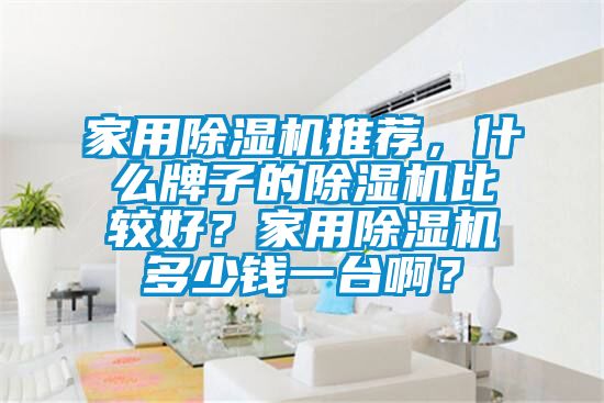 家用除濕機推薦，什么牌子的除濕機比較好？家用除濕機多少錢一臺啊？