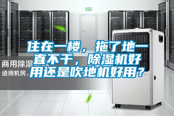 住在一樓，拖了地一直不干，除濕機好用還是吹地機好用？