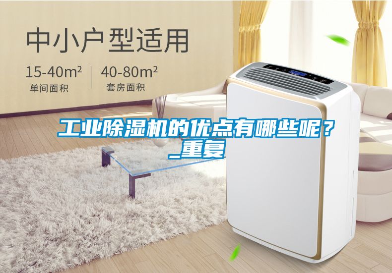 工業(yè)除濕機(jī)的優(yōu)點有哪些呢？_重復(fù)