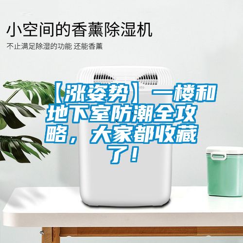 【漲姿勢】一樓和地下室防潮全攻略，大家都收藏了！