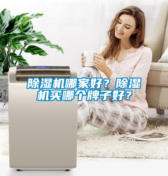 除濕機哪家好？除濕機買哪個牌子好？