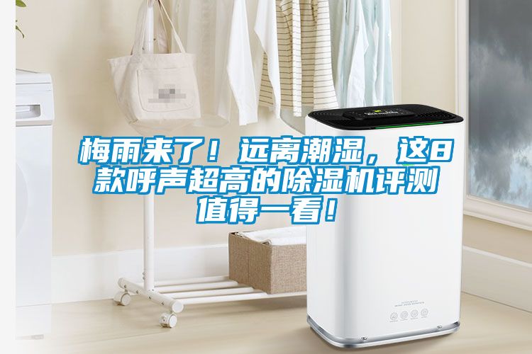 梅雨來了！遠離潮濕，這8款呼聲超高的除濕機評測值得一看！