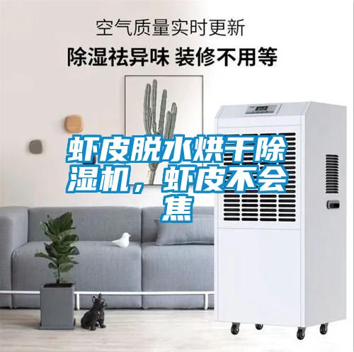 蝦皮脫水烘干除濕機，蝦皮不會焦