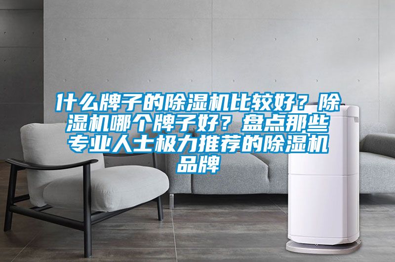 什么牌子的除濕機(jī)比較好？除濕機(jī)哪個(gè)牌子好？盤點(diǎn)那些專業(yè)人士極力推薦的除濕機(jī)品牌