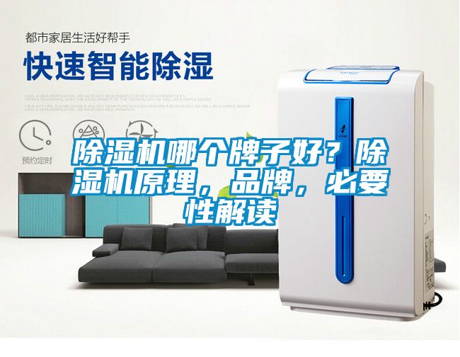 除濕機哪個牌子好？除濕機原理，品牌，必要性解讀