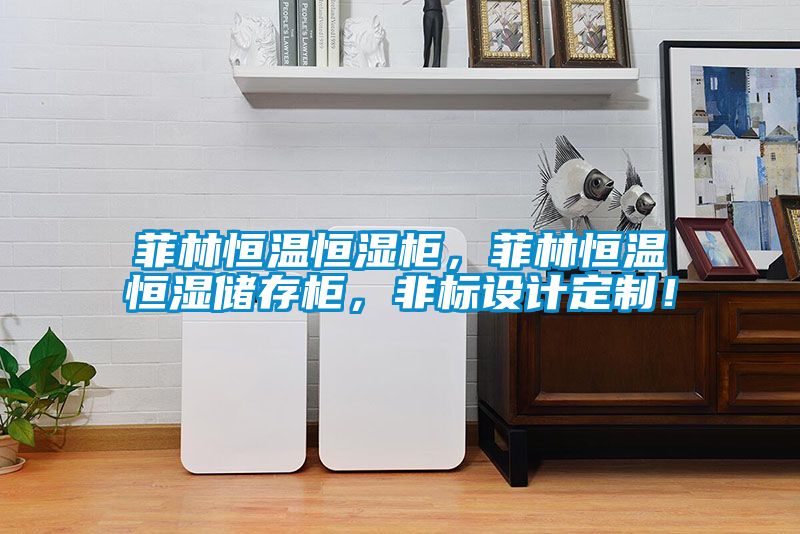 菲林恒溫恒濕柜，菲林恒溫恒濕儲(chǔ)存柜，非標(biāo)設(shè)計(jì)定制！