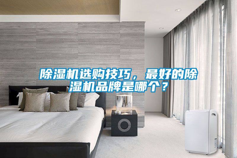 除濕機(jī)選購技巧，最好的除濕機(jī)品牌是哪個？