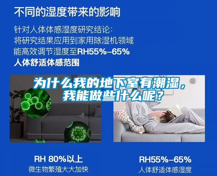 為什么我的地下室有潮濕， 我能做些什么呢？