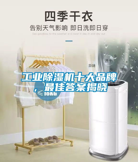 工業除濕機十大品牌，最佳答案揭曉