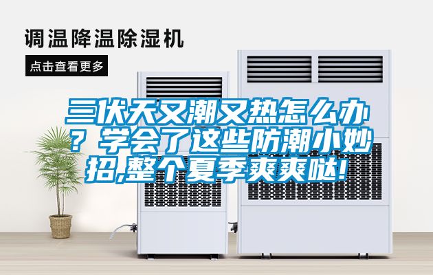 三伏天又潮又熱怎么辦？學(xué)會了這些防潮小妙招,整個夏季爽爽噠!