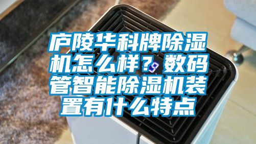 廬陵華科牌除濕機怎么樣？數碼管智能除濕機裝置有什么特點