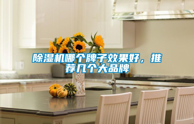 除濕機哪個牌子效果好，推薦幾個大品牌