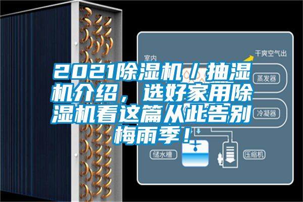 2021除濕機／抽濕機介紹，選好家用除濕機看這篇從此告別梅雨季！