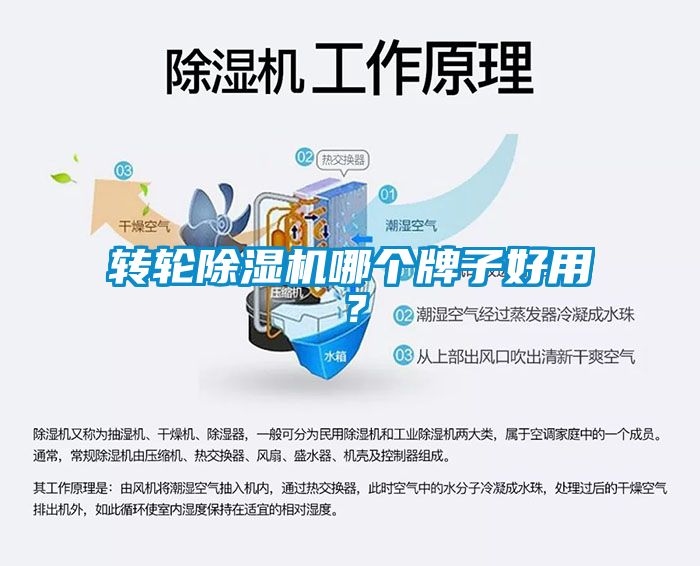 轉輪除濕機哪個牌子好用？
