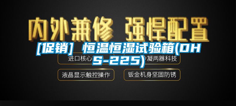 [促銷(xiāo)] 恒溫恒濕試驗(yàn)箱(DHS-225)