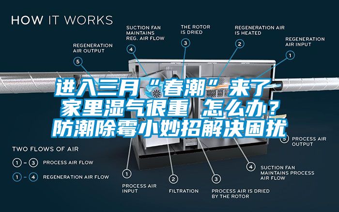 進入三月“春潮”來了 家里濕氣很重 怎么辦？防潮除霉小妙招解決困擾